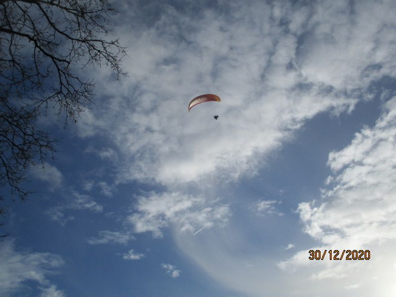 IMG_7562 IMG_7562