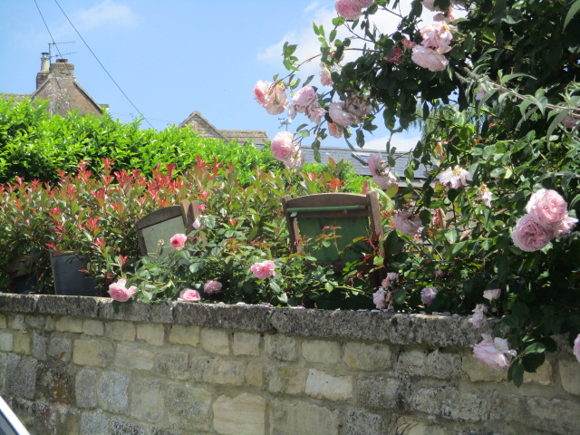 These desk chairs seem to be buried in the flower bed - no chance of sitting on them