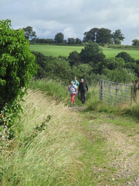 Across fields