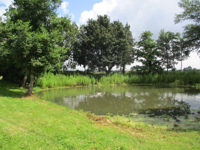 And a charming duck pond