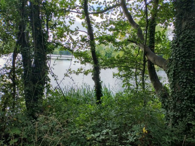 Frampton lake.