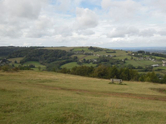 We look across to Selsley Common and notice the water main trench, nearly healing over