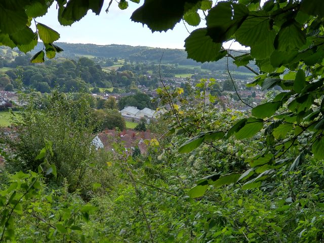 Along the edge of the woods to Dursley  