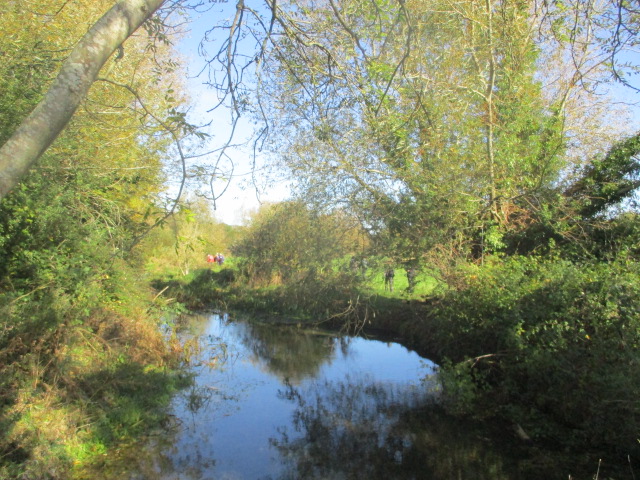 Following the River Leach