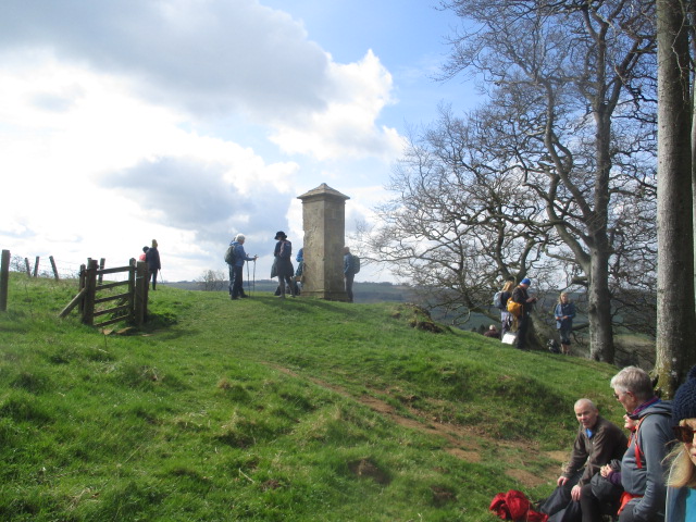 After a long climb we have coffee at Beckbury Monument at Cromwell’s clump  where he is said to have watched the dissolution of the abbey below. 