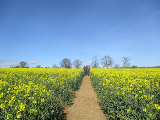 A good path as we leave Bisley on Olivia’s walk