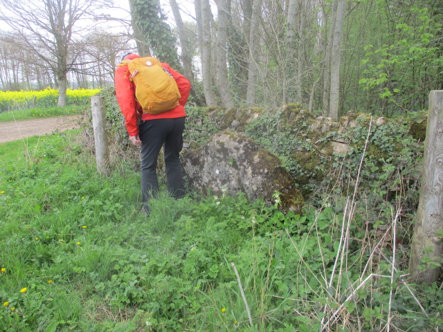 Andrew attacks the nettles around the actual Hangman’s Stone