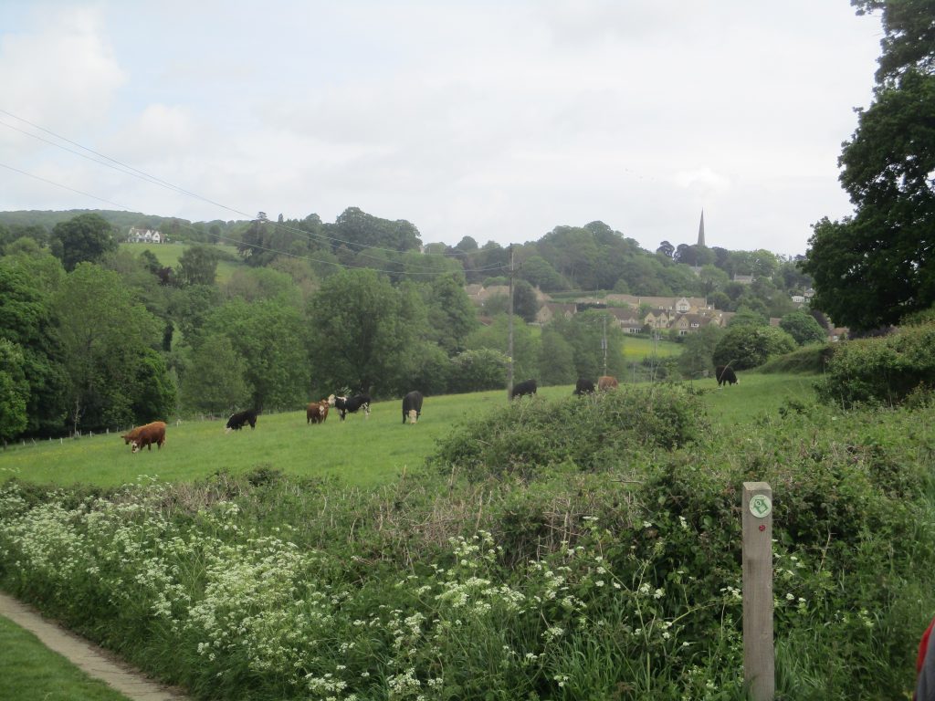 Idyllic view across to Painswick