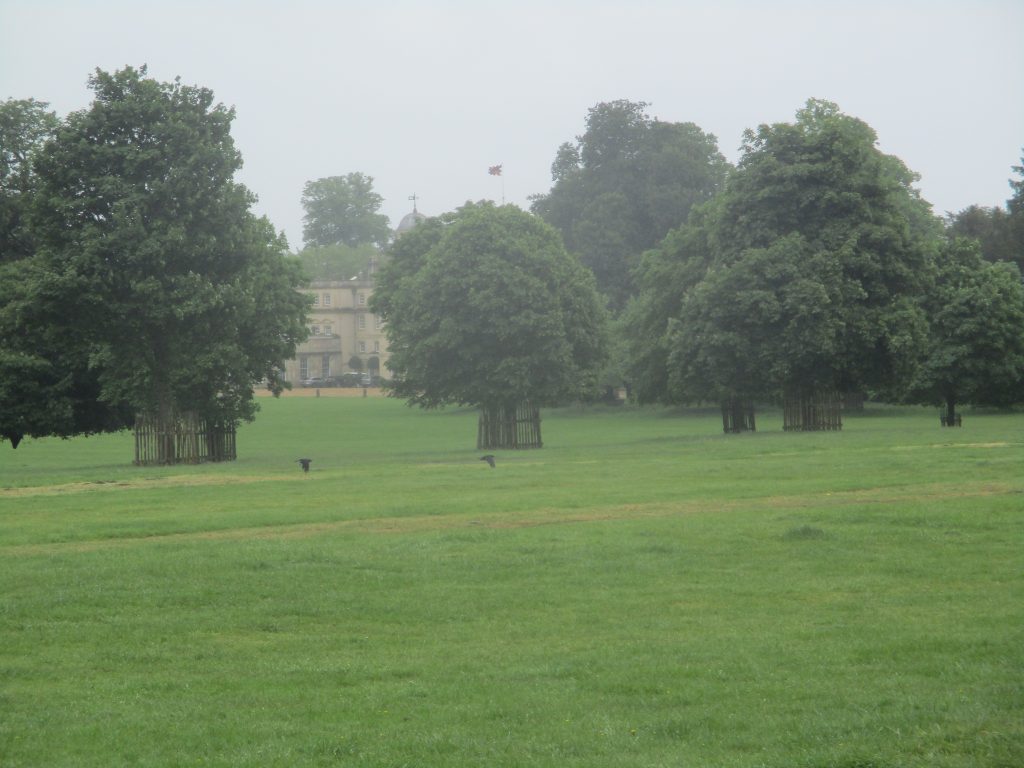 Back past the Big House