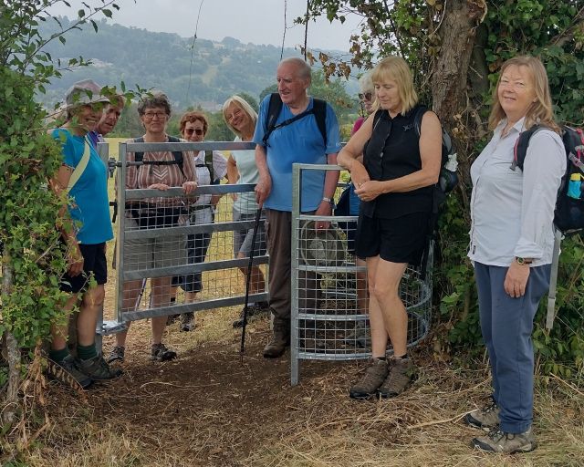 A new kissing gate .... 