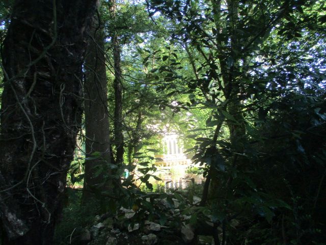 Isolated house through the trees and its reflection