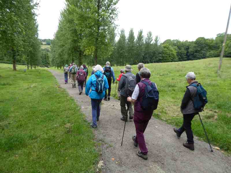 Down towards Hawkley Wood