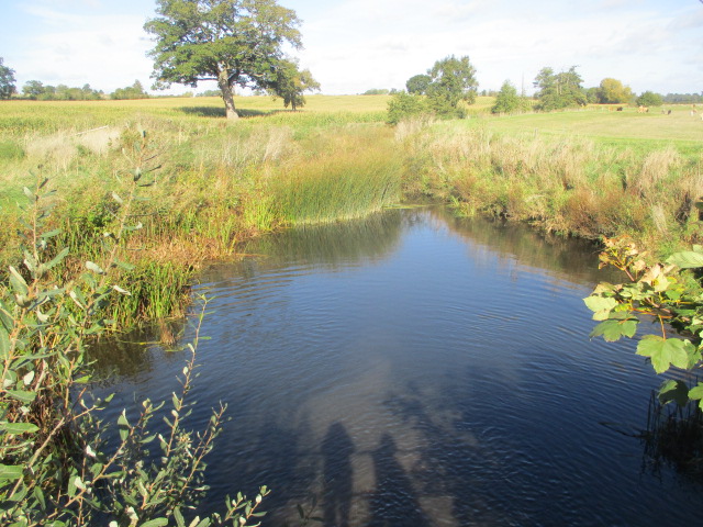 Crossing the Little Avon River