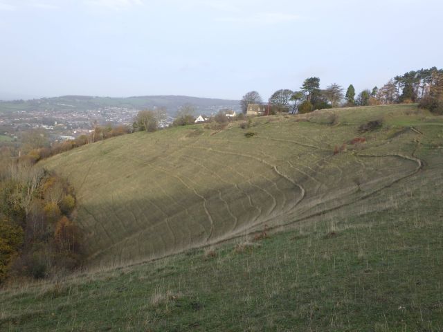 Lines on the common that the cattle have made over decades