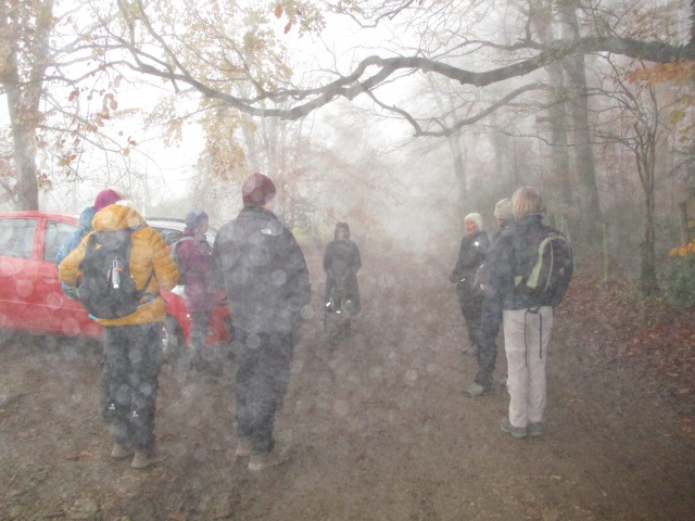 A foggy start at Painswick Walkers’ Car Park for Jill and Sue’s walk