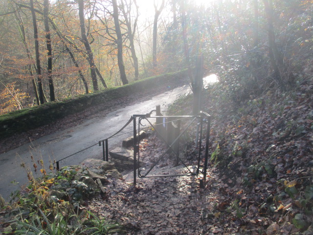 Out of Box Woods where now there is a gate instead of a hazardous jump onto the road