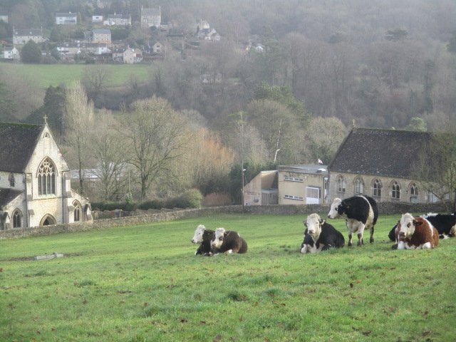 An idyllic scene