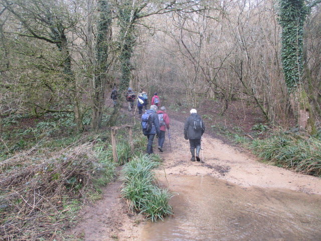 Crossing the stream