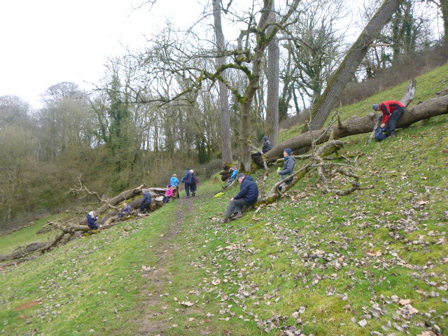 We spread across some logs for coffee above Horton Court