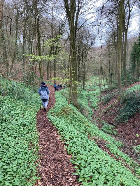 Down the steps into Cranham woods surrounded by garlic and bluebells