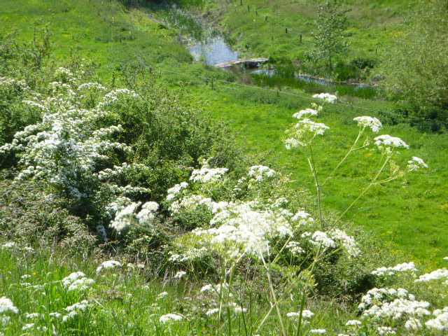 The clapper bridge at Sherston