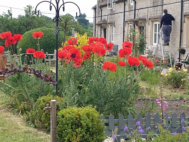 And a nice garden in Sherborne