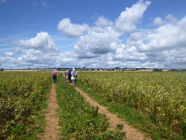 Then back across fields to Hawkesbury Upton