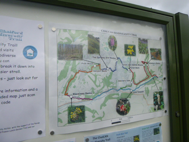 We are doing 4 coloured routes of the Chalford Biodiversity Trail (but not the Strawberry Banks section)