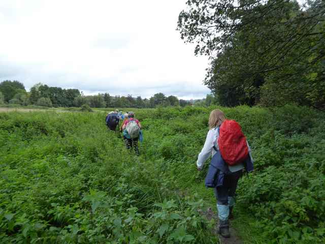  Or take a diversion via the meadows as a towpath bridge is closed. We arrive back just in time to escape a heavy shower. Lucky us!