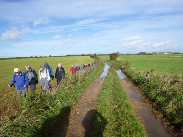 We bypass the very deep puddles in this track, using the side of the field, as many others have done before us.