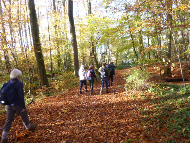 We leave the Walkers car park at Painswick for Malcolm’s walk