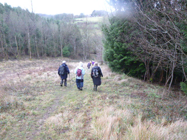 There are some steep descents and ascents (and mud) on Tina’s walk today