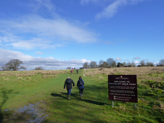 Back across the Deer Park in the sun