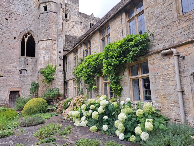 Historic stone building with hydrangeas and ivy.