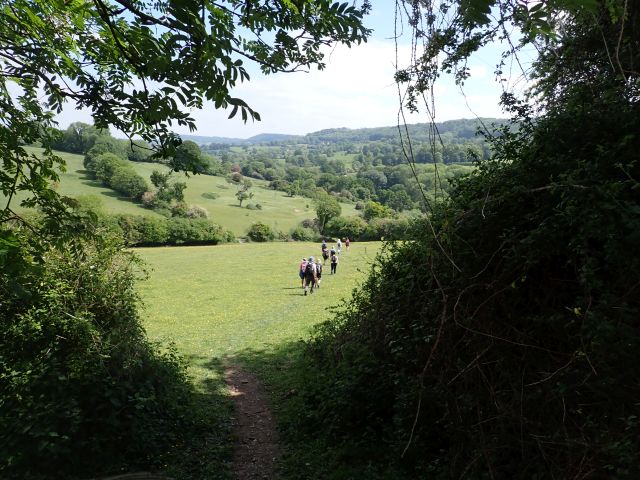 Hikers walking through lush green countryside path.