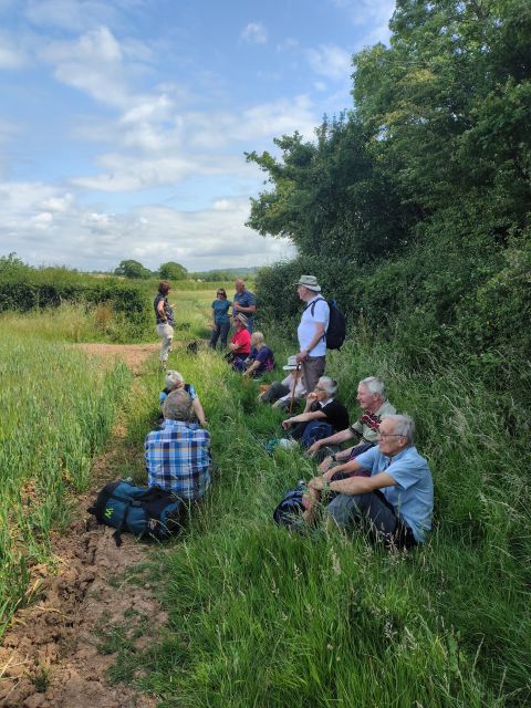 Group resting during countryside hike on a sunny day.