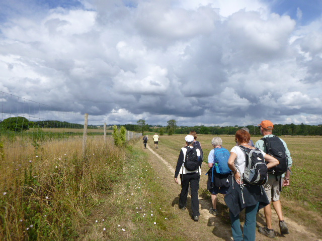 Group of hikers walking on countryside path