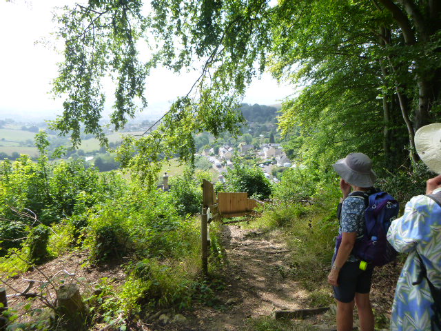 Hikers overlook village from a forested hilltop path.
