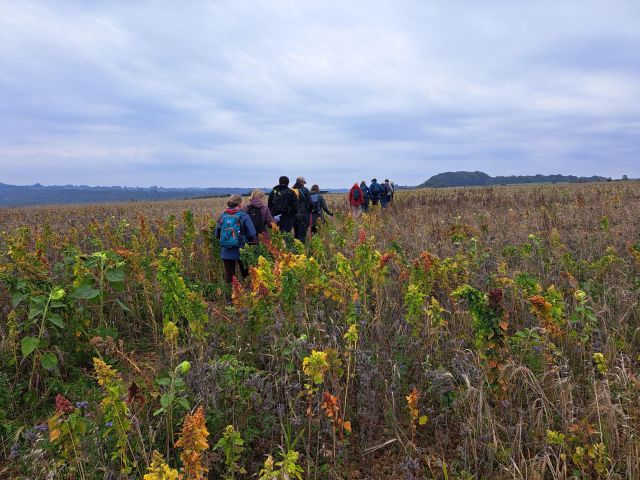 Group hiking through autumn countryside field.