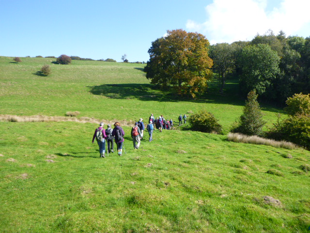 Group hiking through green countryside meadow
