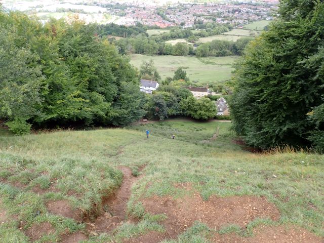 Steep grassy hill with trees and distant town view.