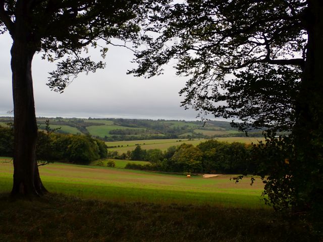 Scenic countryside view with fields and trees.