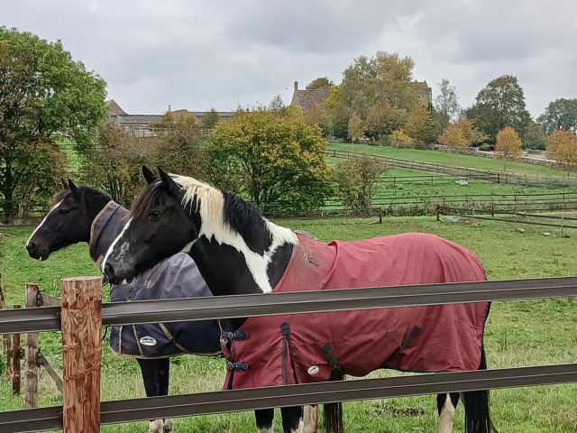 Passing the Manor house and paddocks at Garsdon