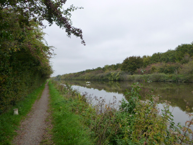 Pathway alongside tranquil river with autumn trees.