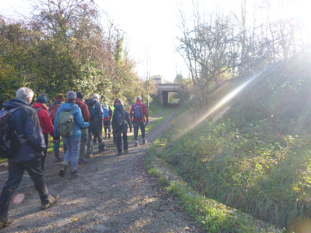 Group of hikers walking in the countryside