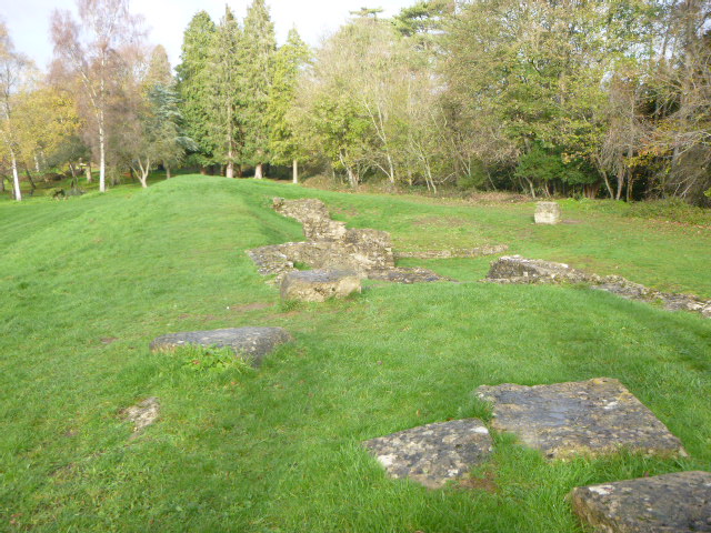 Ruins on grassy landscape with trees in background.