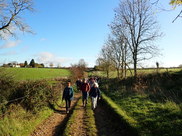 Group walking on country path in autumn landscape.