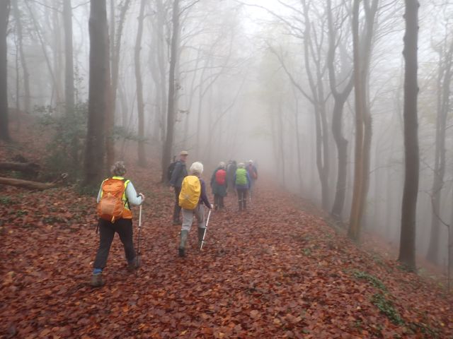 Hikers walking through misty autumn forest trail.
