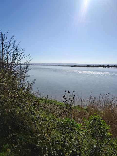 Sunny riverbank with clear blue sky