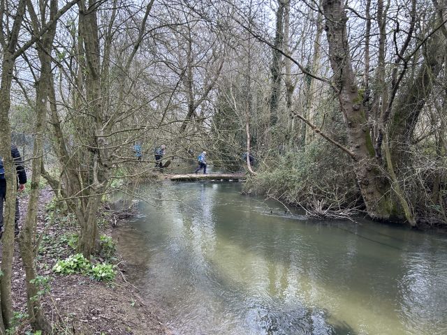 People crossing bridge over forest stream